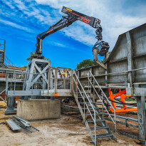 Forest crane PALMS X100