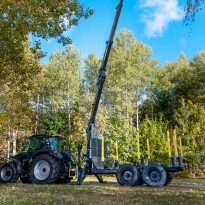 Forest crane PALMS 7.87